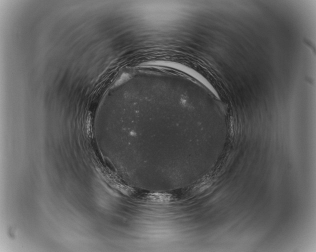 X0000100390328200806201719