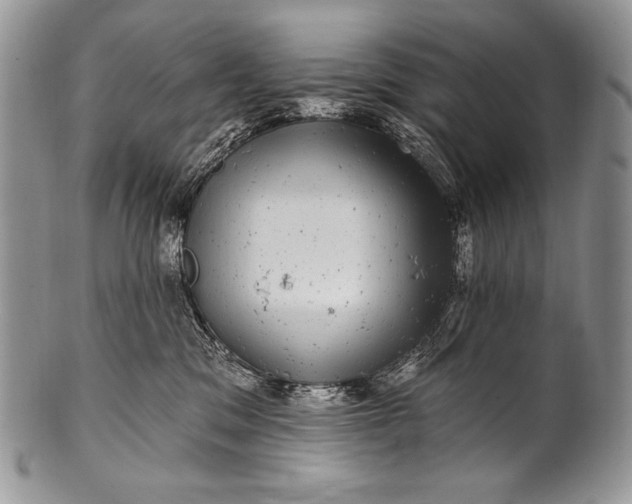 X0000100390329200806201719