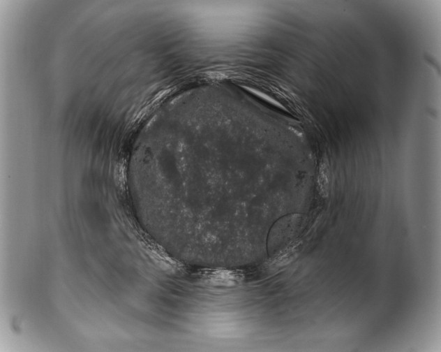 X0000100390330200806201719