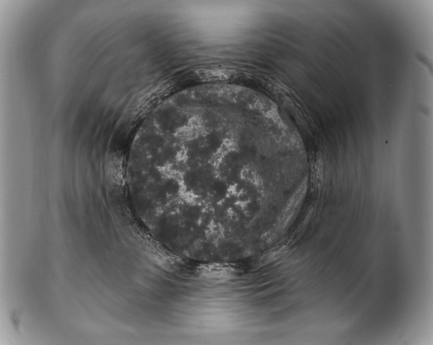 X0000100390331200806201719