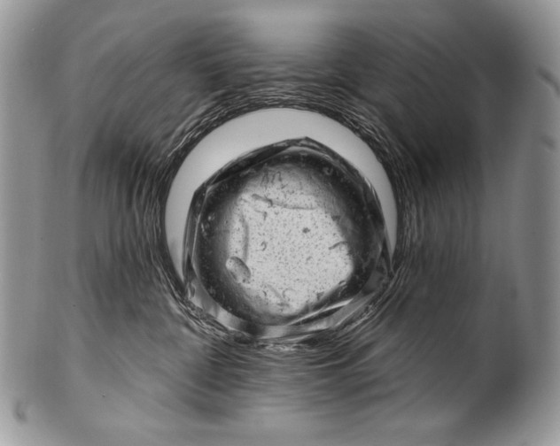 X0000100390332200806201719