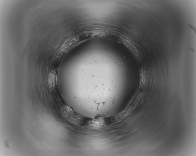 X0000100390333200806201719