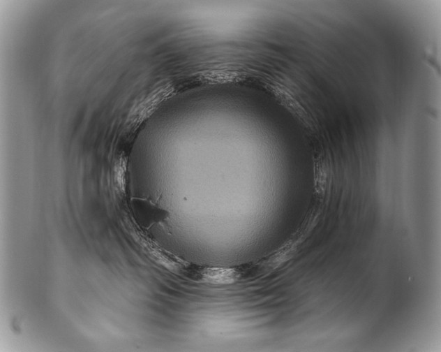 X0000100390334200806201719