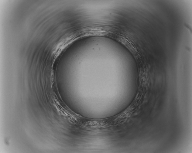 X0000100390338200806201719