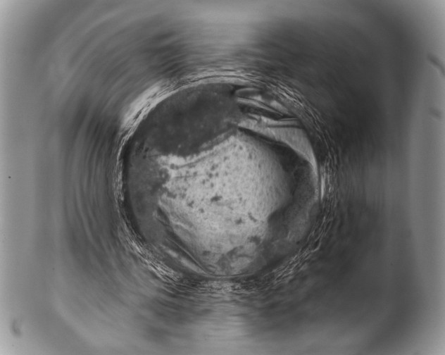 X0000100390339200806201719