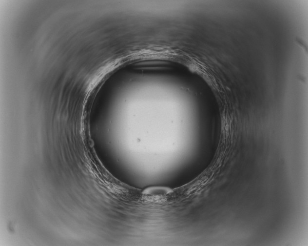 X0000100390340200806201719