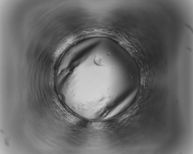 X0000100390341200806201719