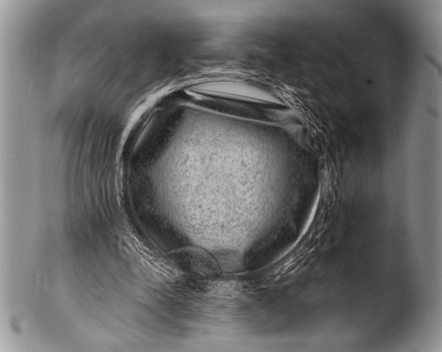 X0000100390342200806201719