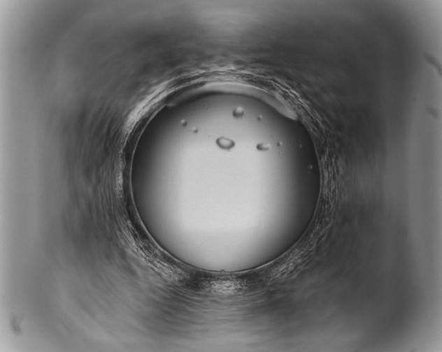 X0000100390344200806201719