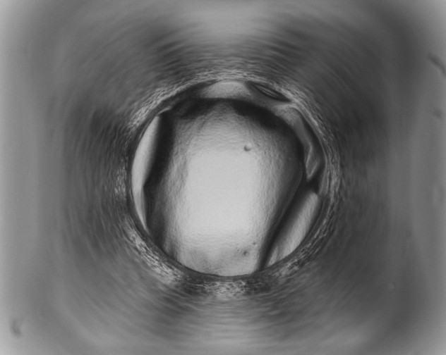 X0000100390345200806201719