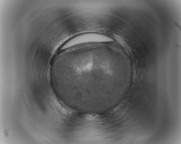 X0000100390346200806201719