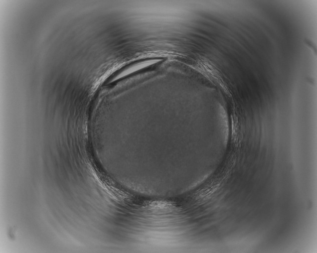 X0000100390348200806201719