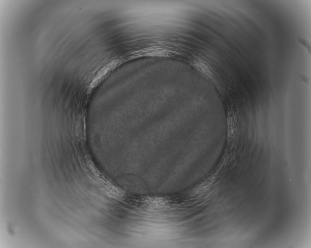 X0000100390349200806201719