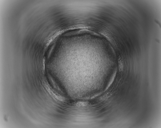 X0000100390350200806201719