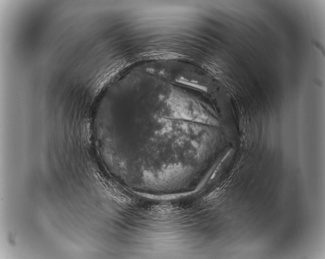 X0000100390351200806201719