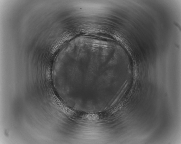 X0000100390353200806201719