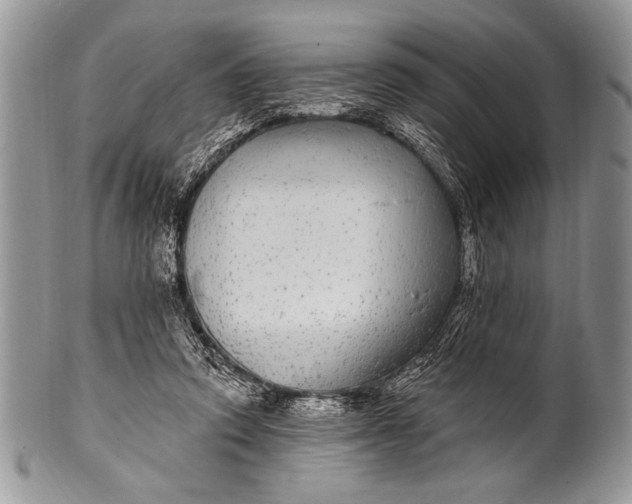 X0000100390354200806201719