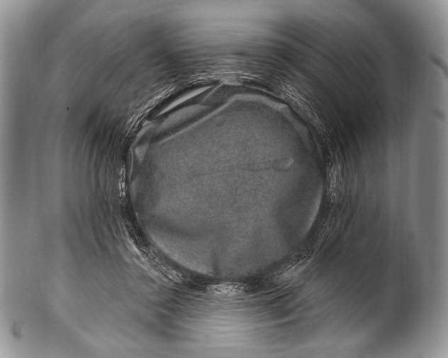 X0000100390356200806201719