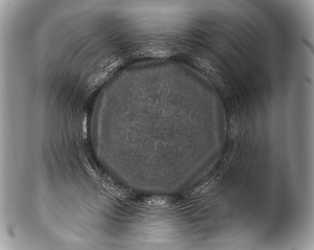 X0000100390358200806201719