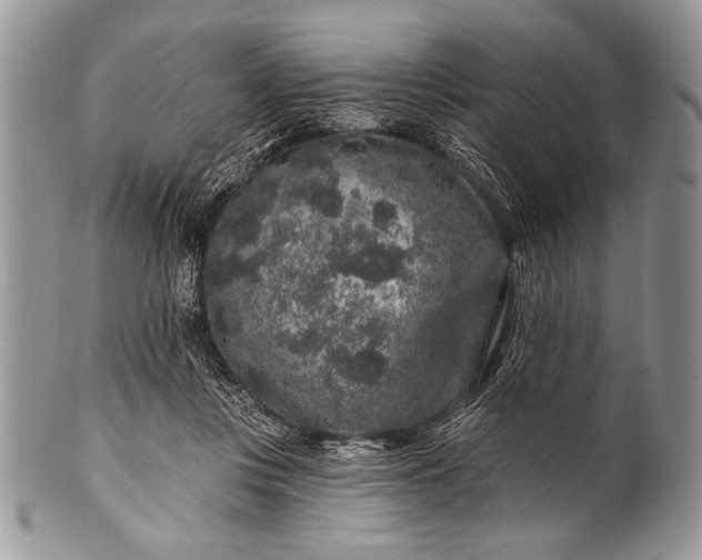 X0000100390359200806201719