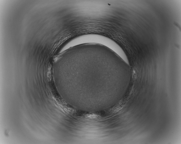 X0000100390360200806201719