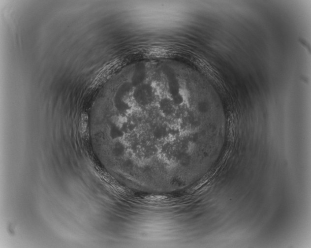 X0000100390361200806201719