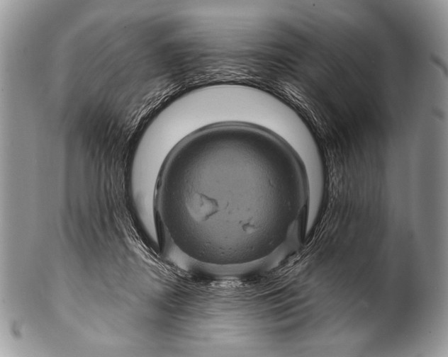 X0000100390362200806201719