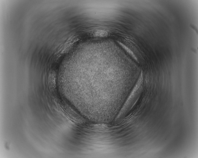 X0000100390363200806201719