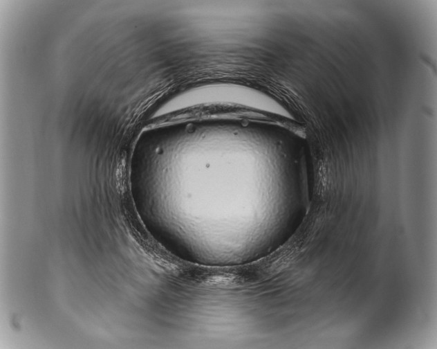 X0000100390364200806201719