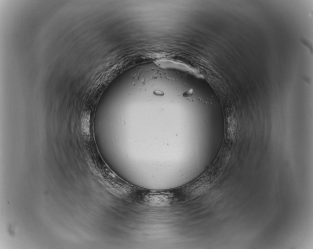 X0000100390368200806201719