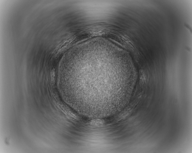 X0000100390369200806201719