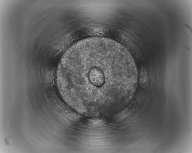 X0000100390370200806201719