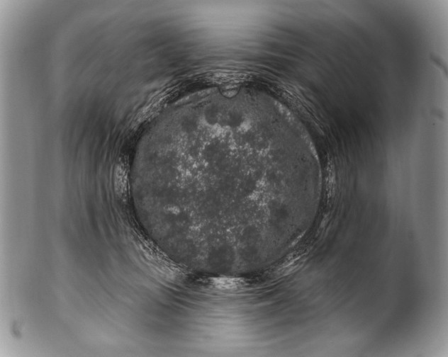 X0000100390371200806201719