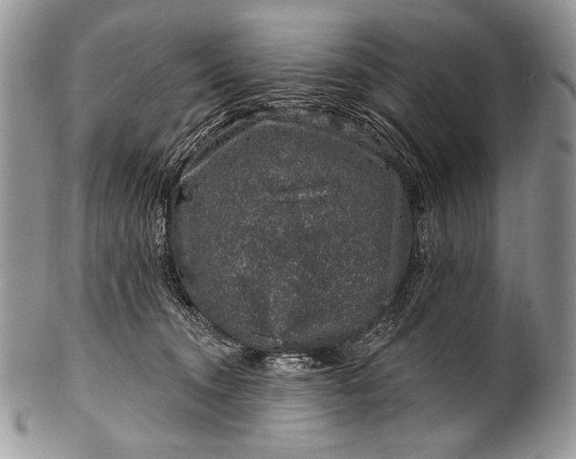 X0000100390372200806201719