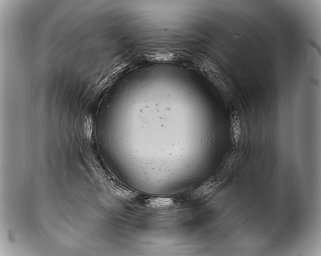 X0000100390374200806201719