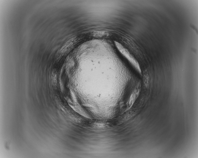 X0000100390375200806201719