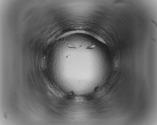 X0000100390376200806201719