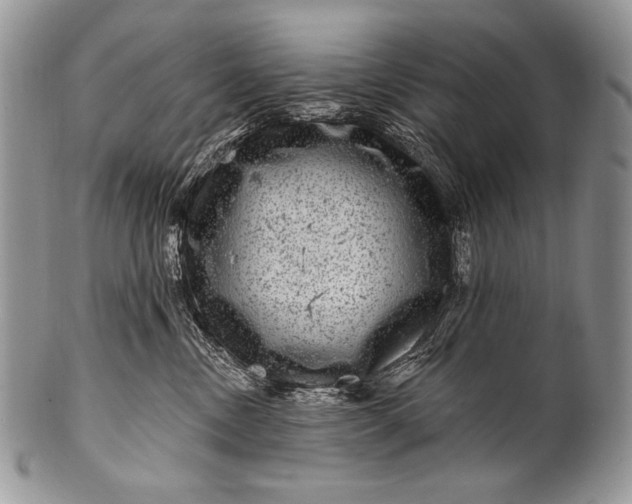 X0000100390378200806201719