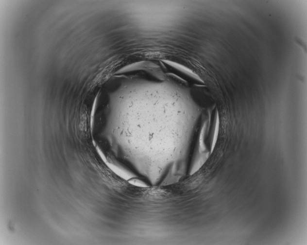 X0000100390379200806201719