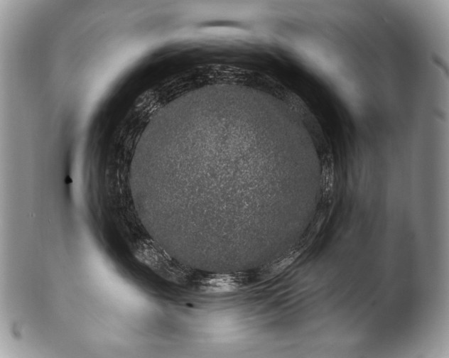 X0000100390381200806201719