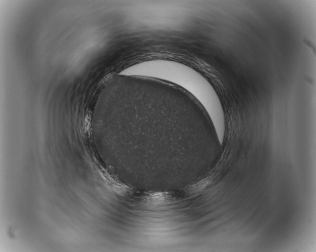 X0000100390382200806201719