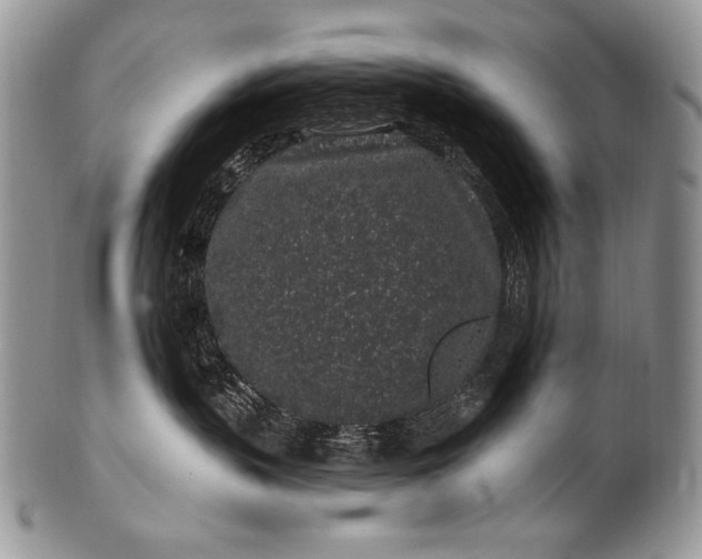 X0000100390383200806201719