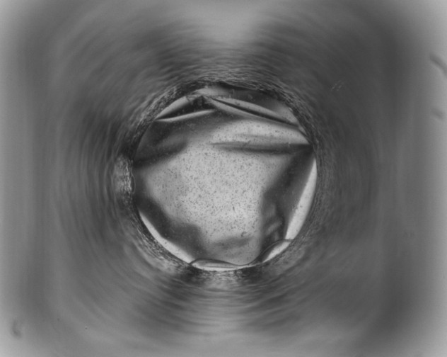 X0000100390384200806201719