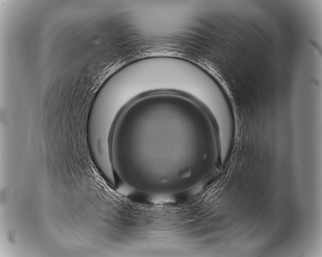 X0000100390385200806201718