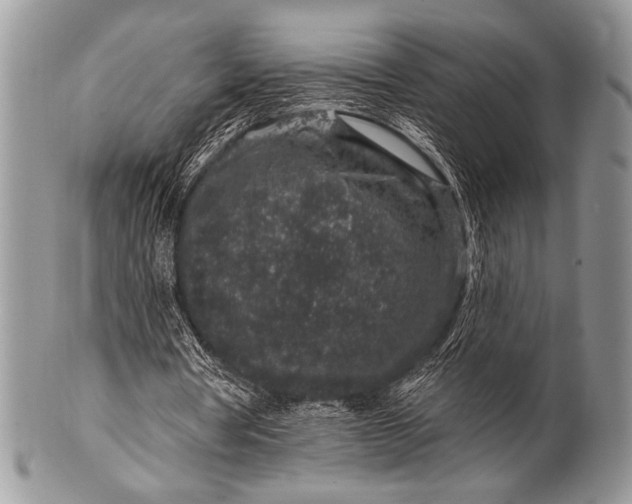 X0000100390386200806201718