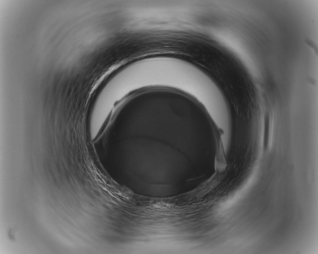 X0000100390387200806201718