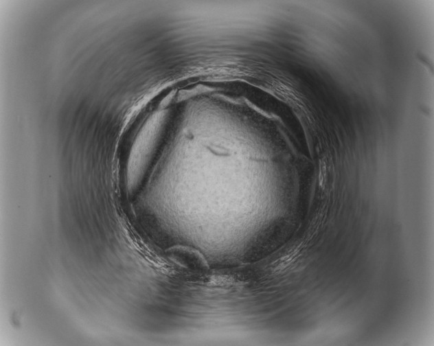 X0000100390388200806201718