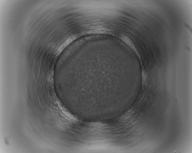 X0000100390389200806201718