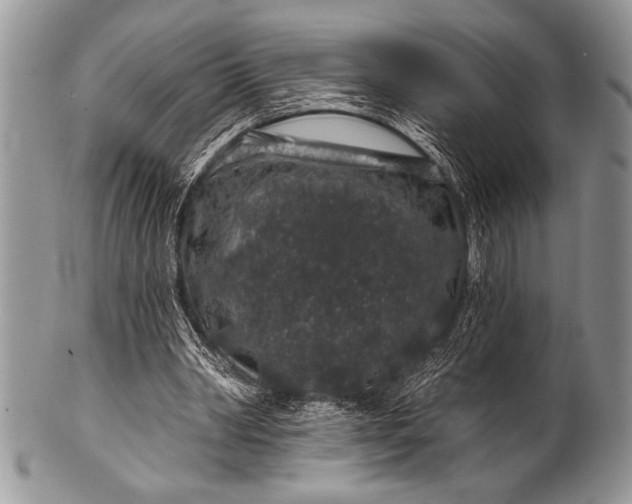 X0000100390390200806201718