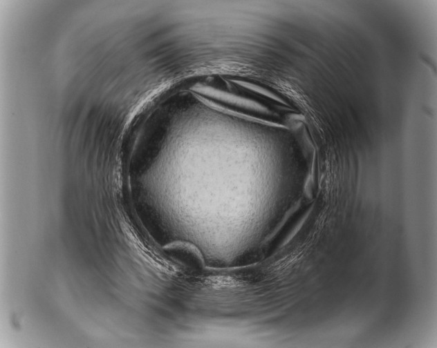 X0000100390392200806201718